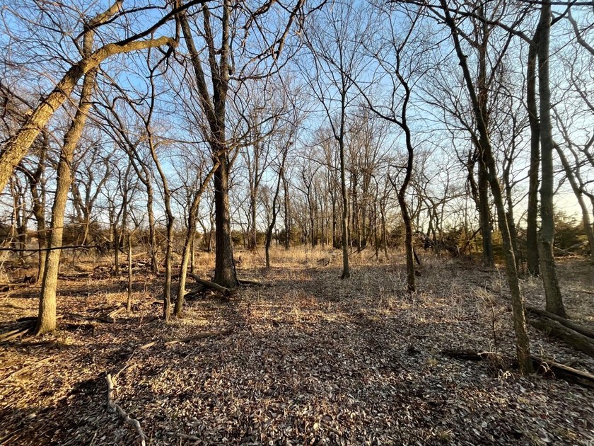 This is sneaky thick hunting property loaded with great habitat - photo 28