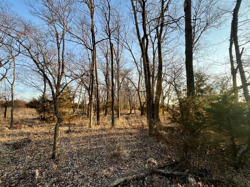 This is sneaky thick hunting property loaded with great habitat - photo 29