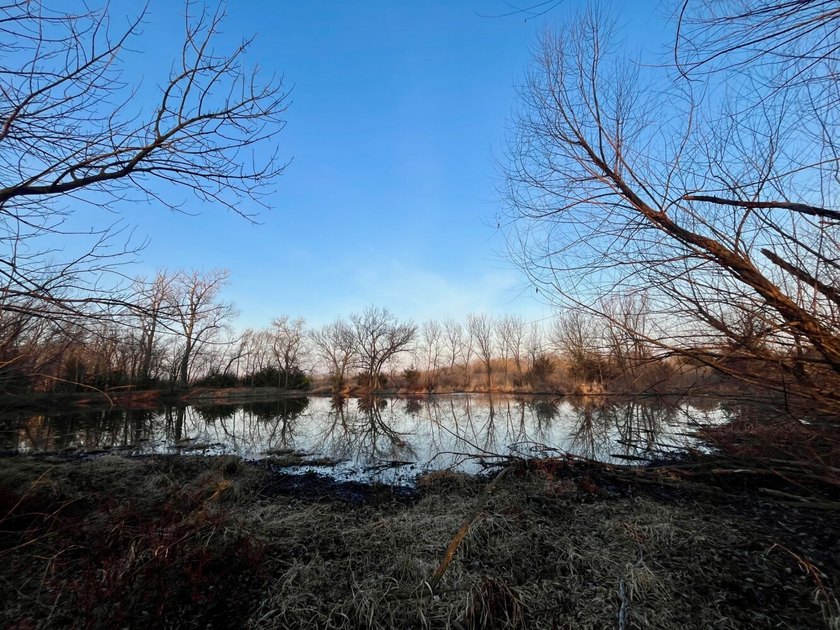 This is sneaky thick hunting property loaded with great habitat - photo 31