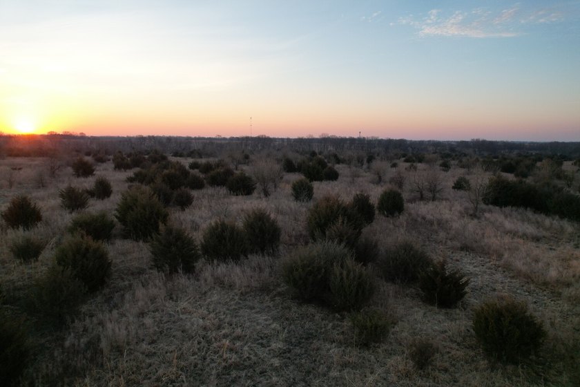 This is sneaky thick hunting property loaded with great habitat - photo 33