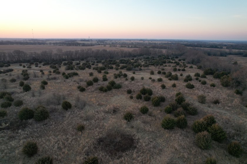 This is sneaky thick hunting property loaded with great habitat - photo 34