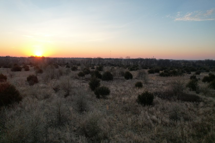 This is sneaky thick hunting property loaded with great habitat - photo 35