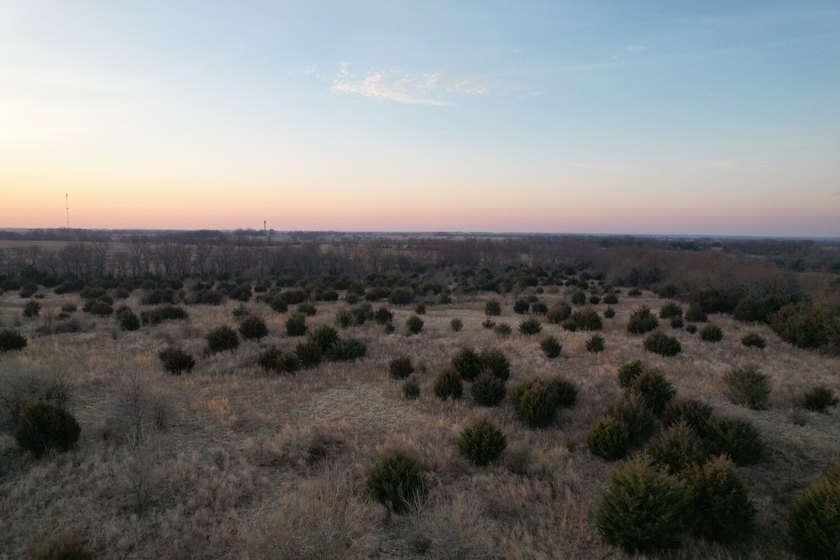 This is sneaky thick hunting property loaded with great habitat - photo 36