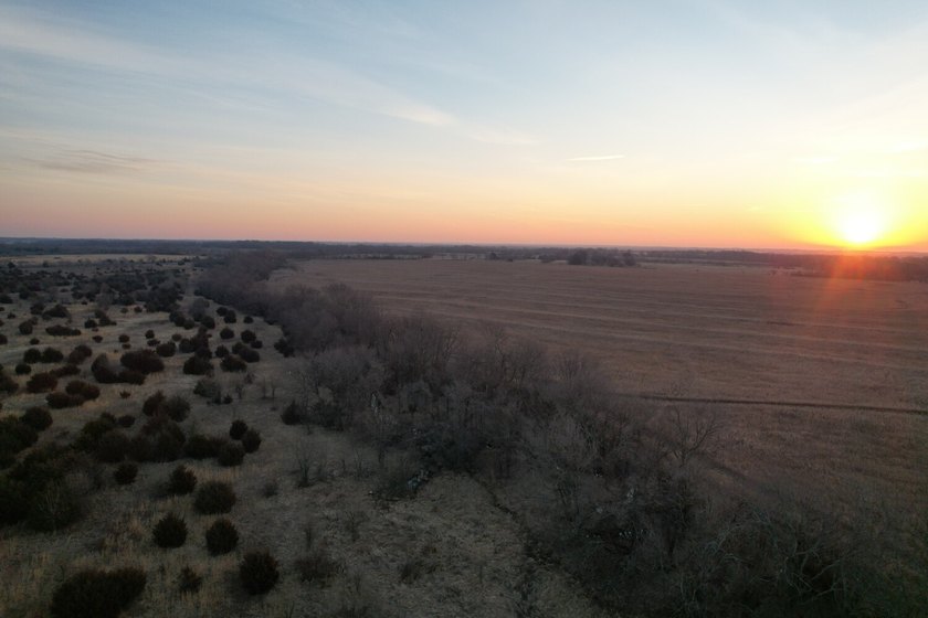 This is sneaky thick hunting property loaded with great habitat - photo 37