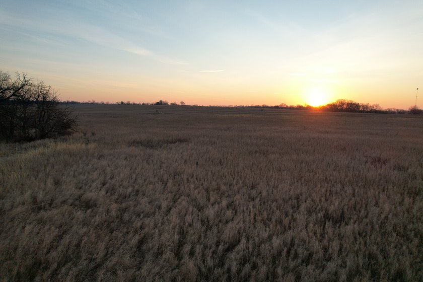 This is sneaky thick hunting property loaded with great habitat - photo 38