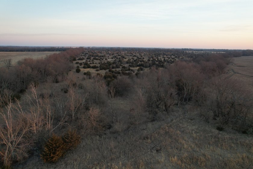 This is sneaky thick hunting property loaded with great habitat - photo 39