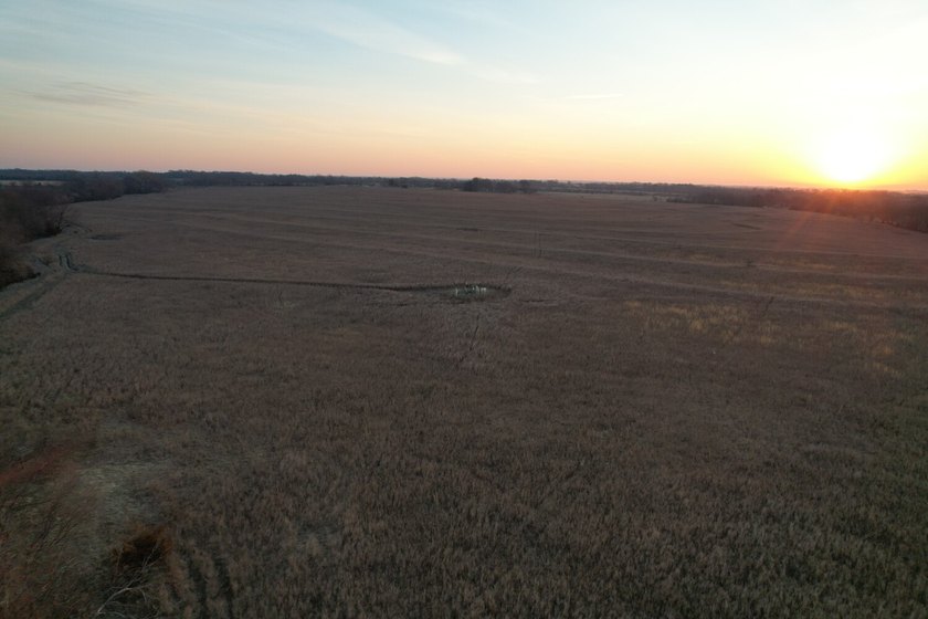 This is sneaky thick hunting property loaded with great habitat - photo 40