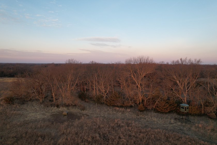 This is sneaky thick hunting property loaded with great habitat - photo 41