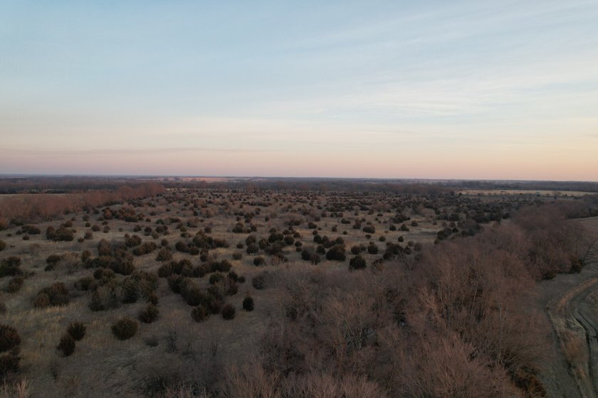 This is sneaky thick hunting property loaded with great habitat - photo 42