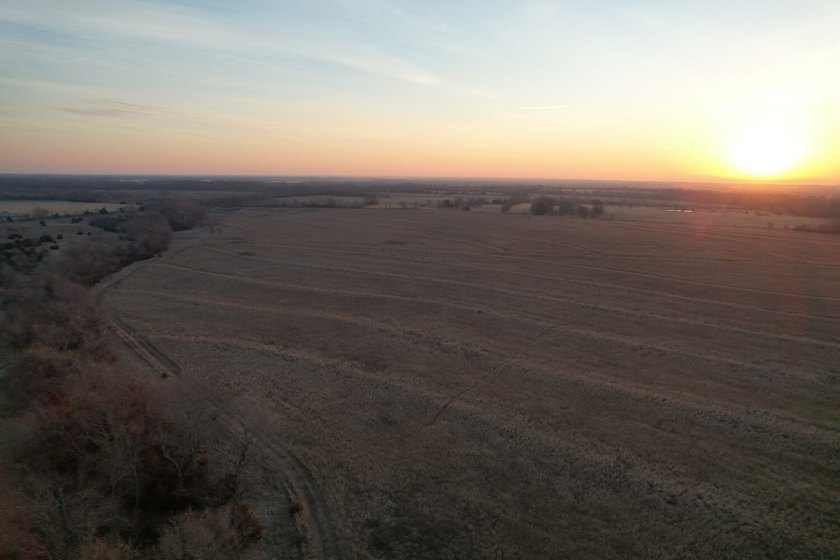 This is sneaky thick hunting property loaded with great habitat - photo 43