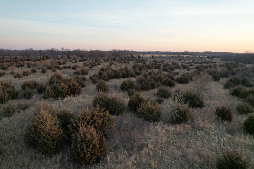 This is sneaky thick hunting property loaded with great habitat - photo 45