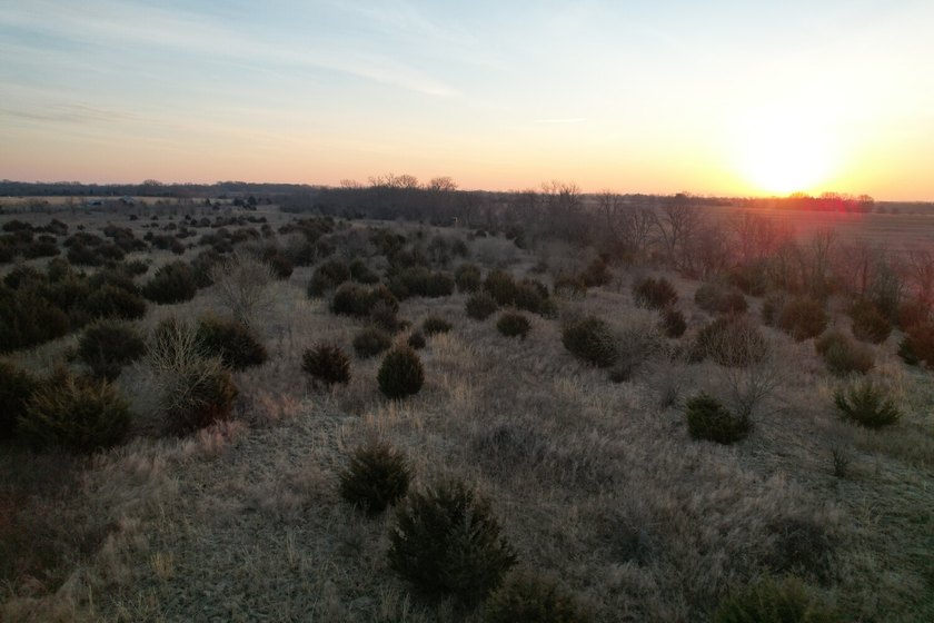 This is sneaky thick hunting property loaded with great habitat - photo 46