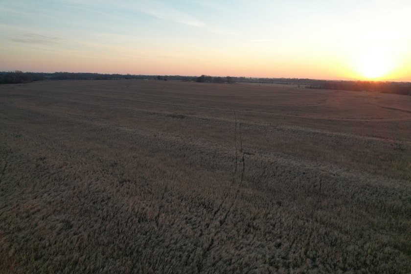 This is sneaky thick hunting property loaded with great habitat - photo 47