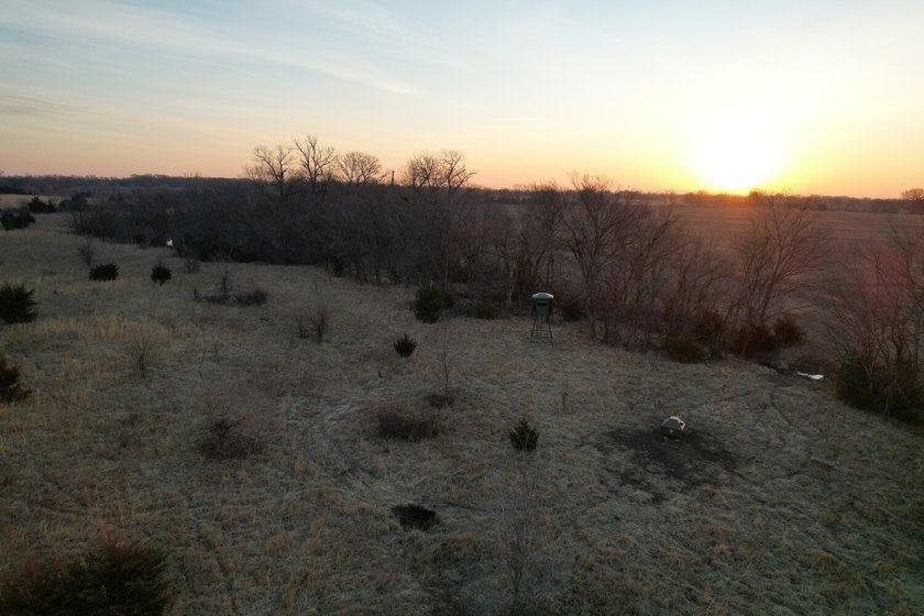 This is sneaky thick hunting property loaded with great habitat - photo 48