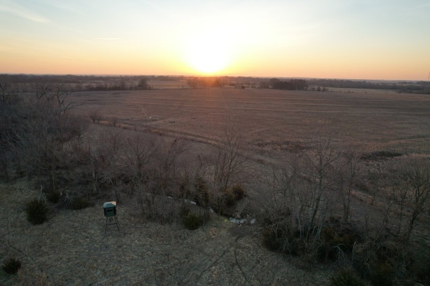 This is sneaky thick hunting property loaded with great habitat - photo 49