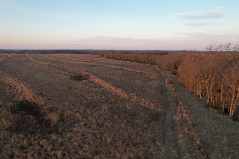 This is sneaky thick hunting property loaded with great habitat - photo 50