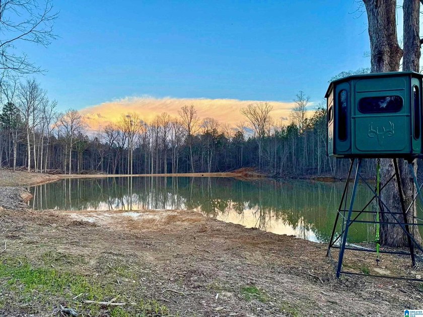 Getting lost in the woods sounds a lot better when you own all - photo 20
