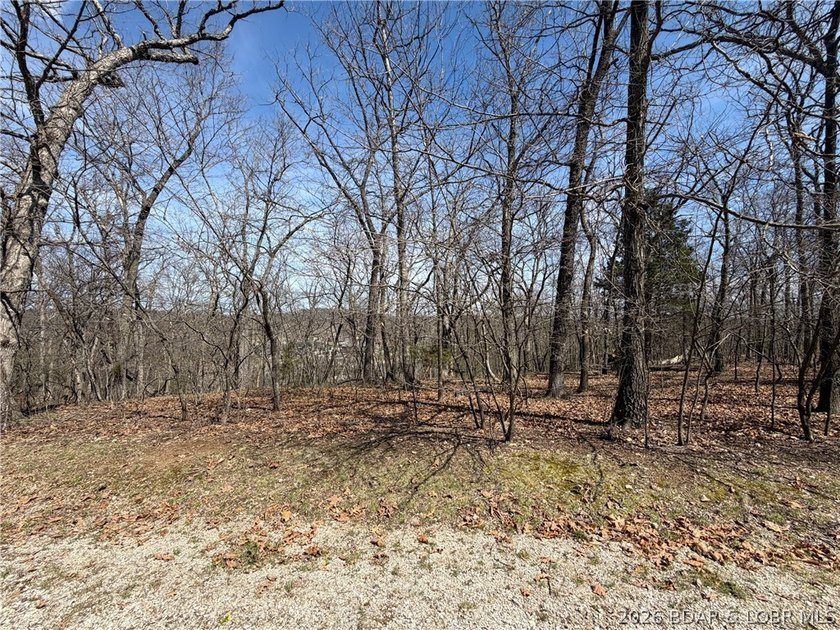 Build your dream home in the highly sought-after...The Villages - photo 3