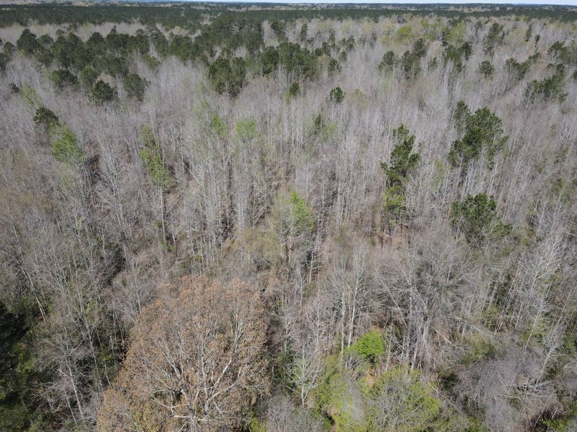 WELCOME TO THE SIMPSON 56-A PINOLA PRIVACY TRACT! This 56+/- - photo 11