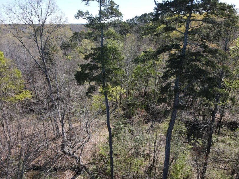 WELCOME TO THE SIMPSON 56-A PINOLA PRIVACY TRACT! This 56+/- - photo 14