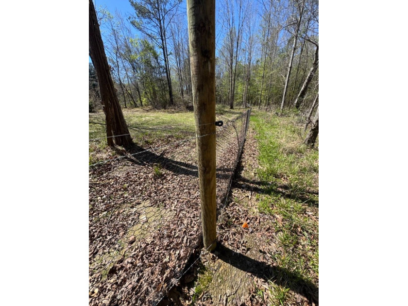WELCOME TO THE SIMPSON 56-A PINOLA PRIVACY TRACT! This 56+/- - photo 15