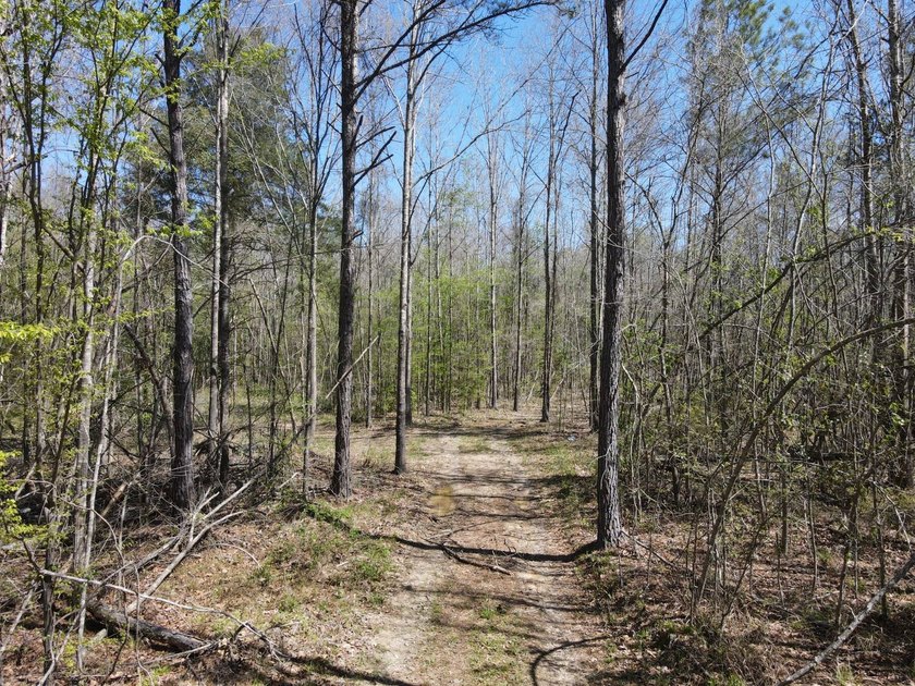 WELCOME TO THE SIMPSON 56-A PINOLA PRIVACY TRACT! This 56+/- - photo 23
