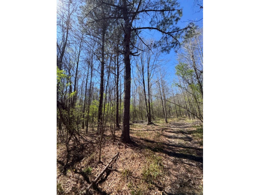 WELCOME TO THE SIMPSON 56-A PINOLA PRIVACY TRACT! This 56+/- - photo 26