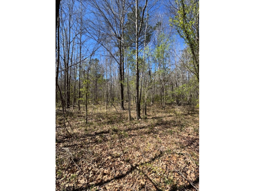 WELCOME TO THE SIMPSON 56-A PINOLA PRIVACY TRACT! This 56+/- - photo 27