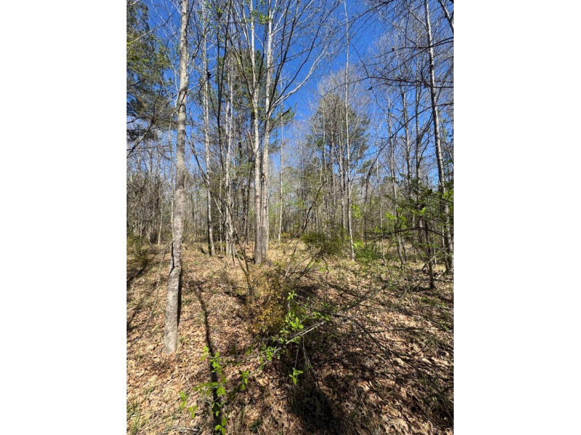 WELCOME TO THE SIMPSON 56-A PINOLA PRIVACY TRACT! This 56+/- - photo 28
