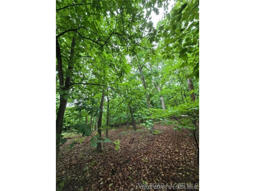 Unlock the potential of this 0.635-acre lot in the highly - photo 4