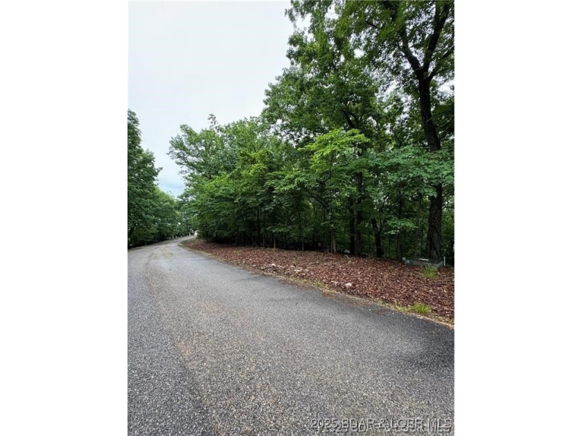 Unlock the potential of this 0.635-acre lot in the highly - photo 5