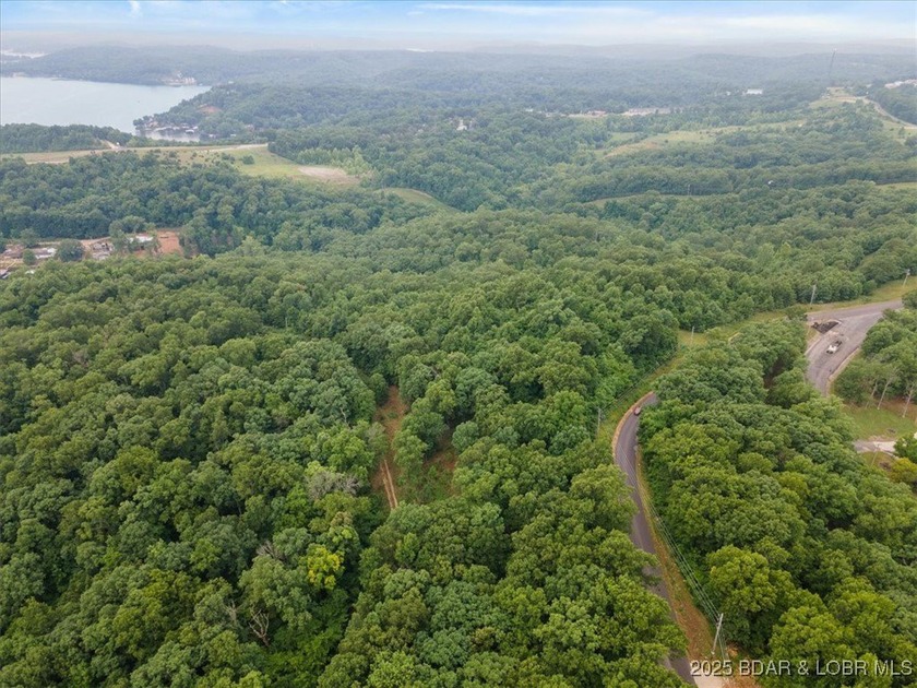 Ready to make the jump in buying land at the Lake of the Ozarks - photo 4