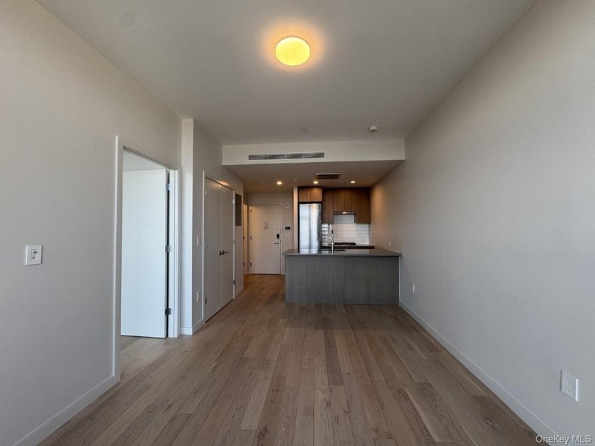 Highlights: Both the bedroom and living room face south - photo 15