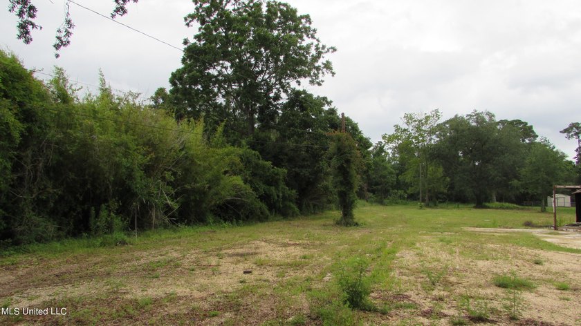 Narrow (20' wide) Pass Rd driveway leading back to approximately - photo 5