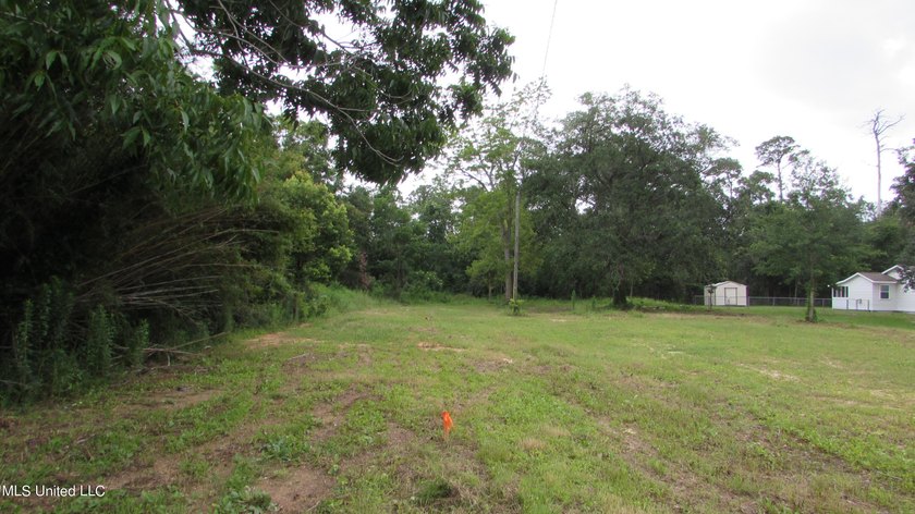 Narrow (20' wide) Pass Rd driveway leading back to approximately - photo 7