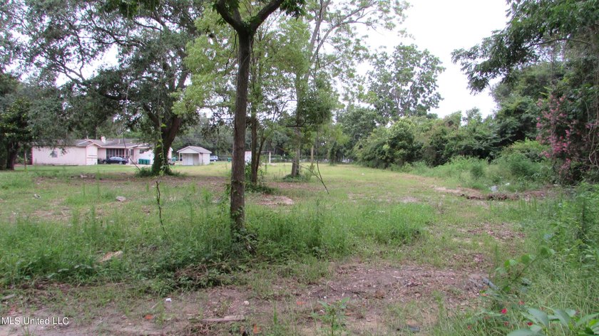 Narrow (20' wide) Pass Rd driveway leading back to approximately - photo 8
