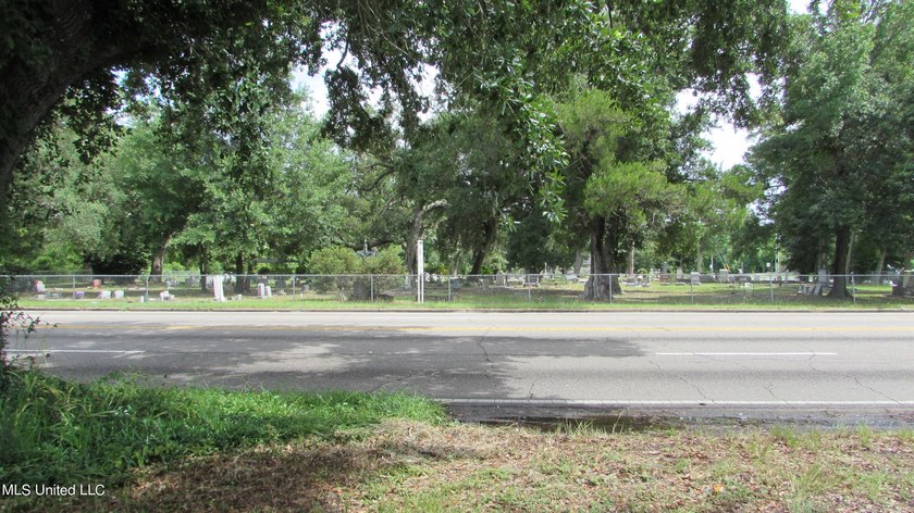 Narrow (20' wide) Pass Rd driveway leading back to approximately - photo 10
