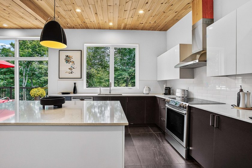 Residence contemporaine au bord de l'eau sur le lac Cupidon! Ce - photo 12