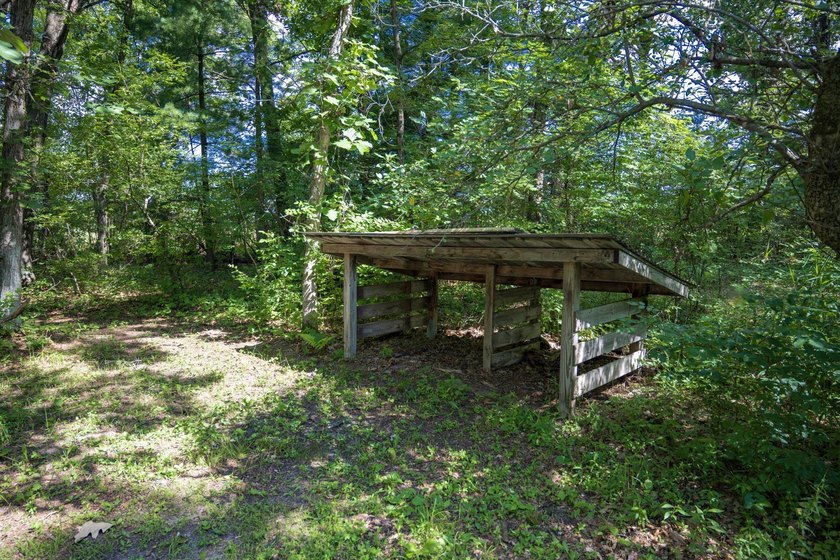 Escape to your own private Northwoods retreat! This 10.2-acre - photo 18