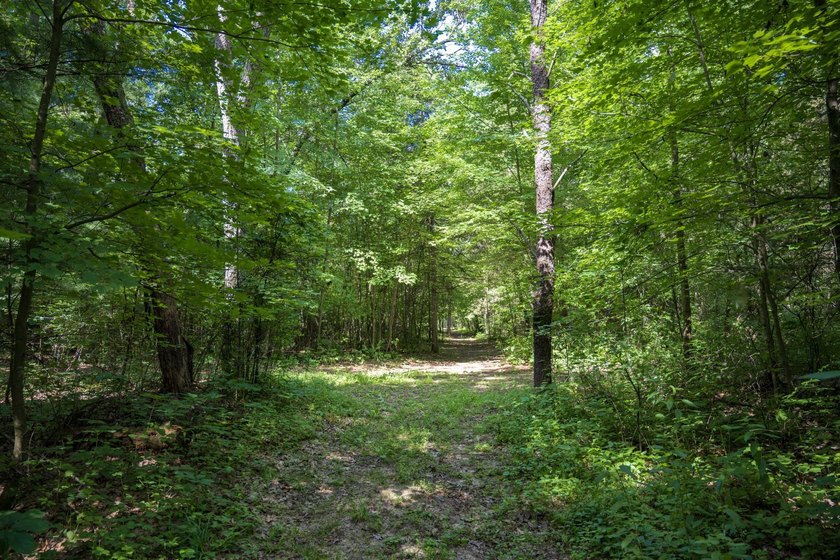 Escape to your own private Northwoods retreat! This 10.2-acre - photo 35
