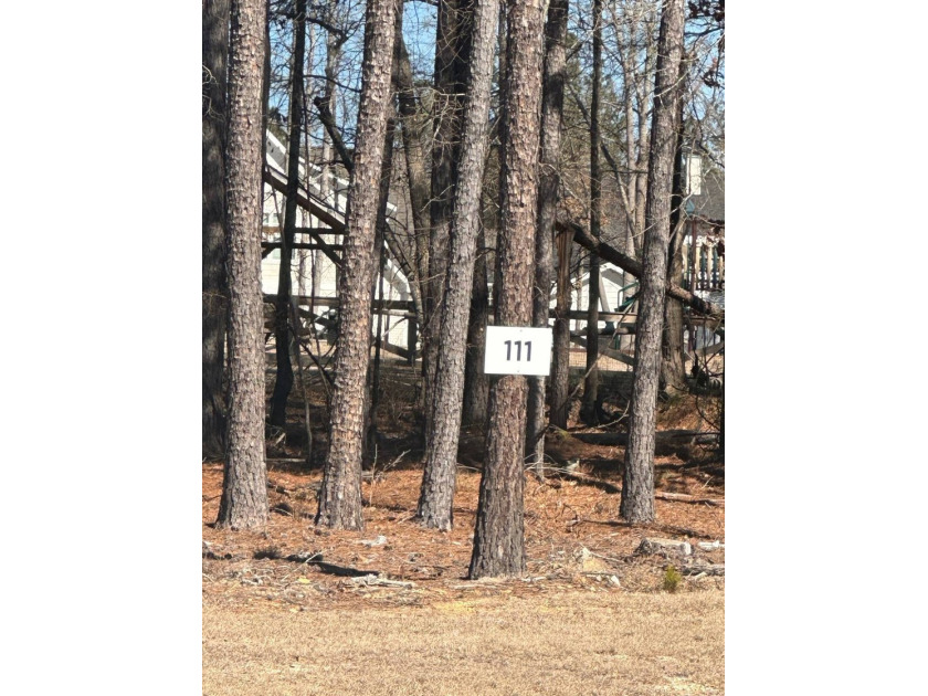 Stewart Landing offers beautiful lake views, low country - photo 2