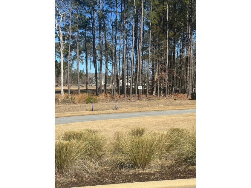 Stewart Landing offers beautiful lake views, low country - photo 3