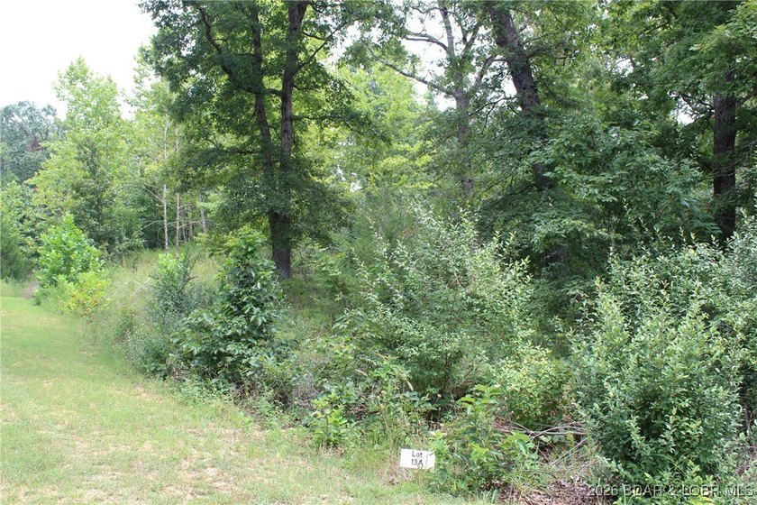 Discover the perfect blend of privacy, convenience, and natural - photo 6