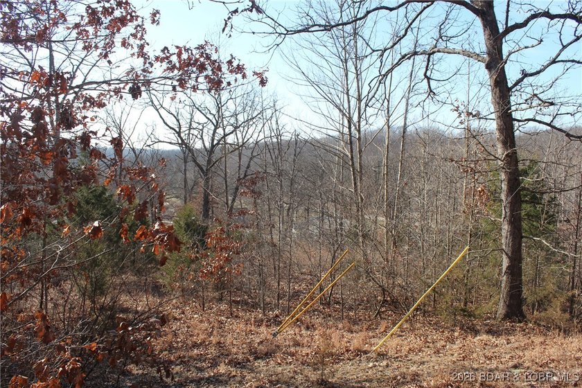 Discover the perfect blend of privacy, convenience, and natural - photo 10