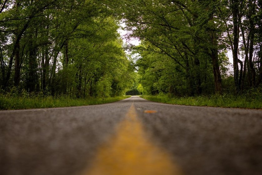 Hunting land for sale in Claiborne County, Mississippi. This - photo 13