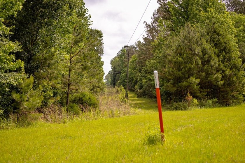 Hunting land for sale in Claiborne County, Mississippi. This - photo 28