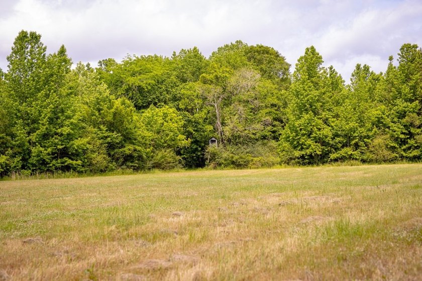 Hunting land for sale in Claiborne County, Mississippi. This - photo 32