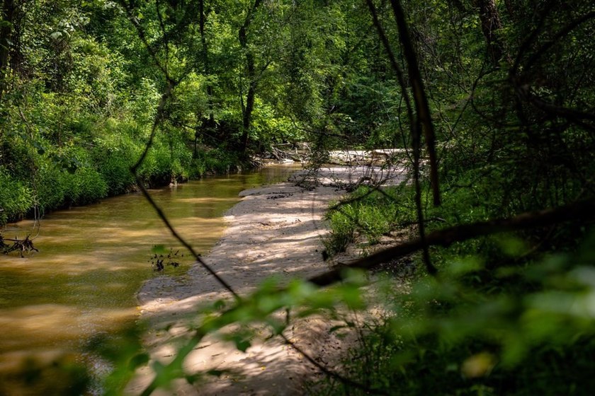 Hunting land for sale in Claiborne County, Mississippi. This - photo 34