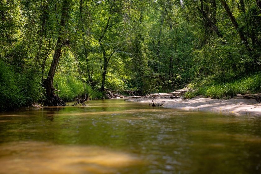 Hunting land for sale in Claiborne County, Mississippi. This - photo 35