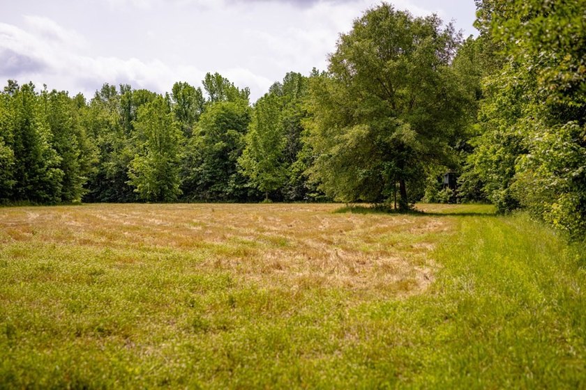 Hunting land for sale in Claiborne County, Mississippi. This - photo 38